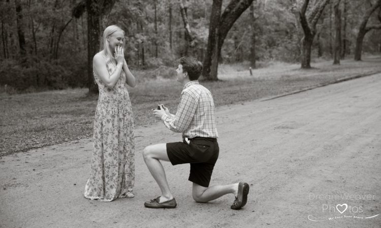 Surprise Proposal At Wormsloe State Park Savannah