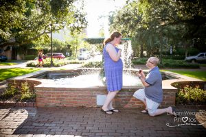 surprise proposal savannah 