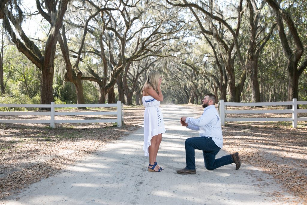 Savannah proposal