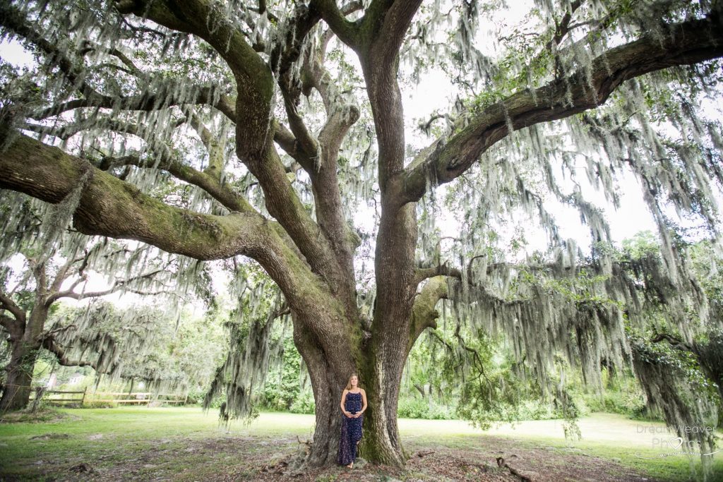 Savannah photographer