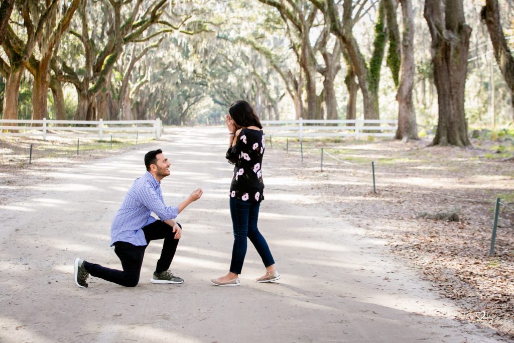 surprise proposal savannah