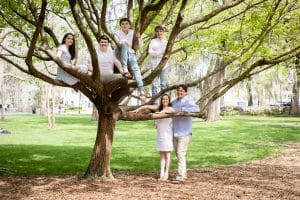 family photos in savananh tree 