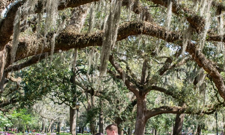 Surprise Proposal Oak Trees Savannah