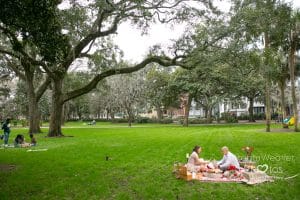 savannah picnic in the park 