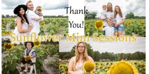 sunflower mini photo sessions