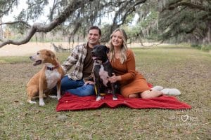 wormsloe photo shoot with dogs