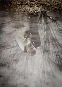 dark and moody savannah photographer crazy wedding dragons