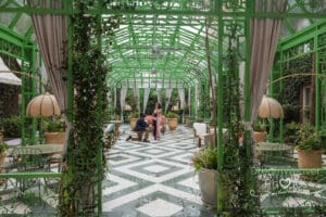 surprise proposal savannah hotel bardo garden